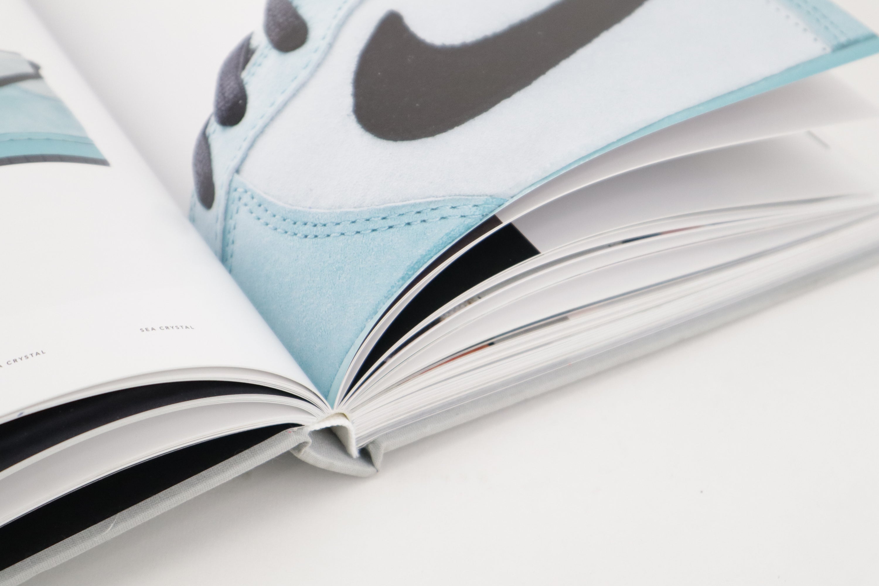 "THE DUNK" BOOK