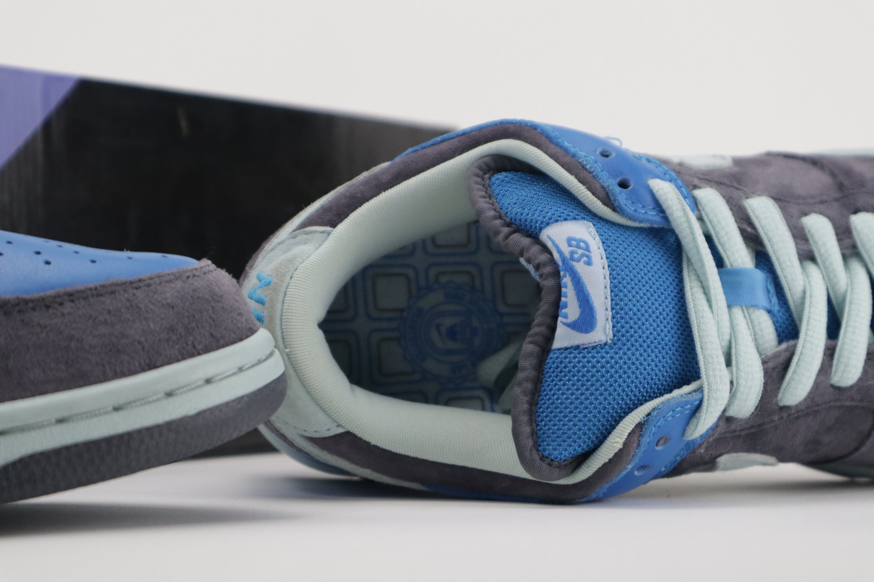 DUNK LOW PRO SB "AQUA"