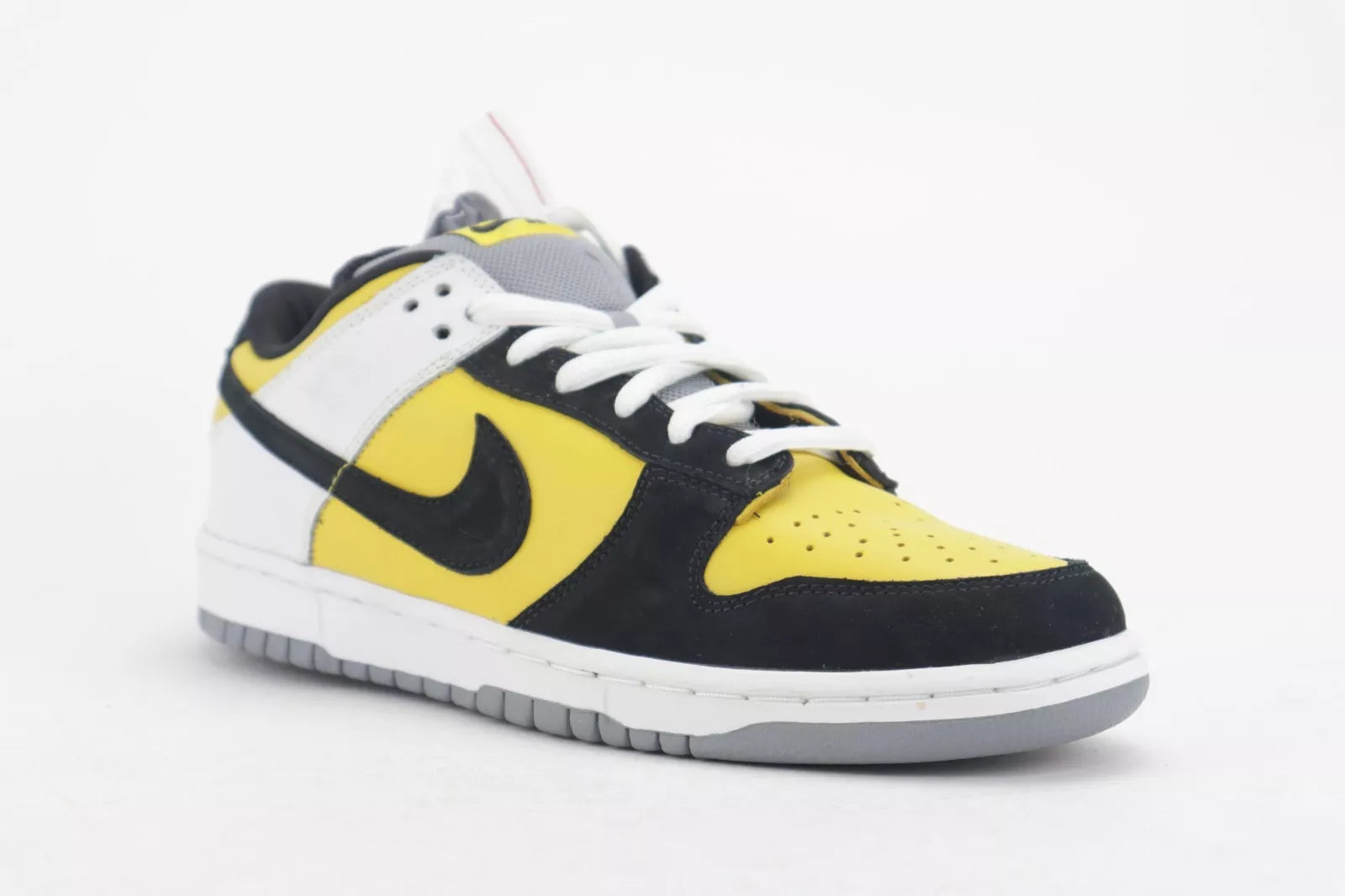 DUNK LOW SB "BIC"