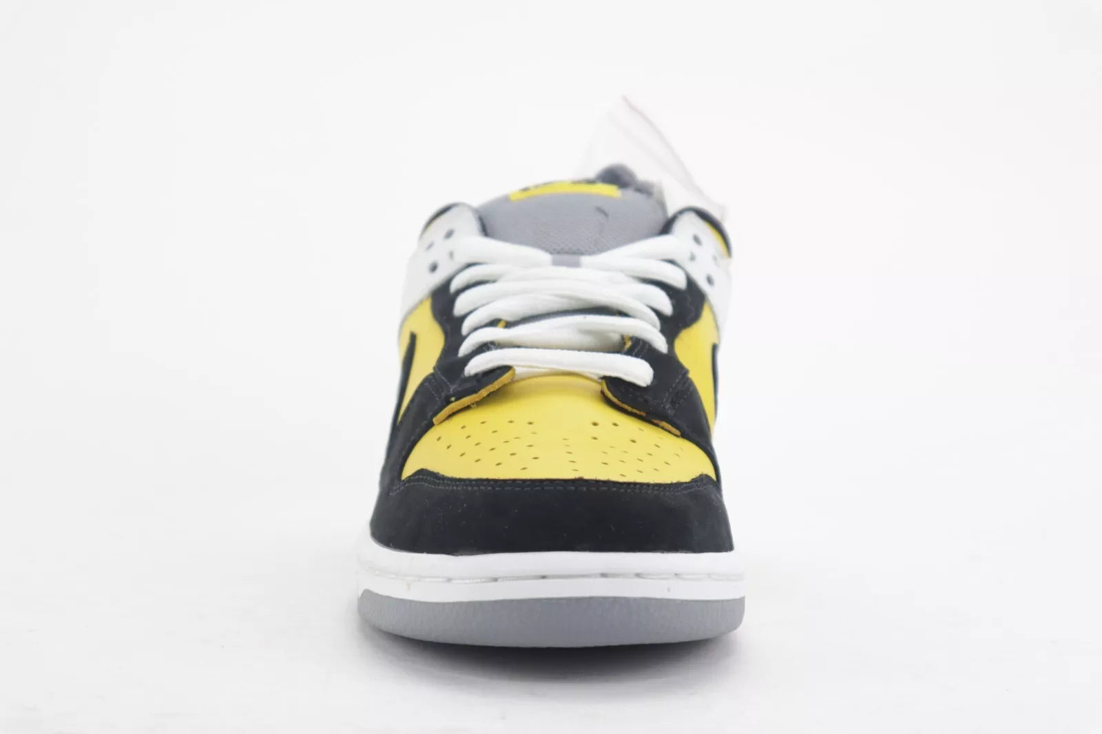 DUNK LOW SB "BIC"