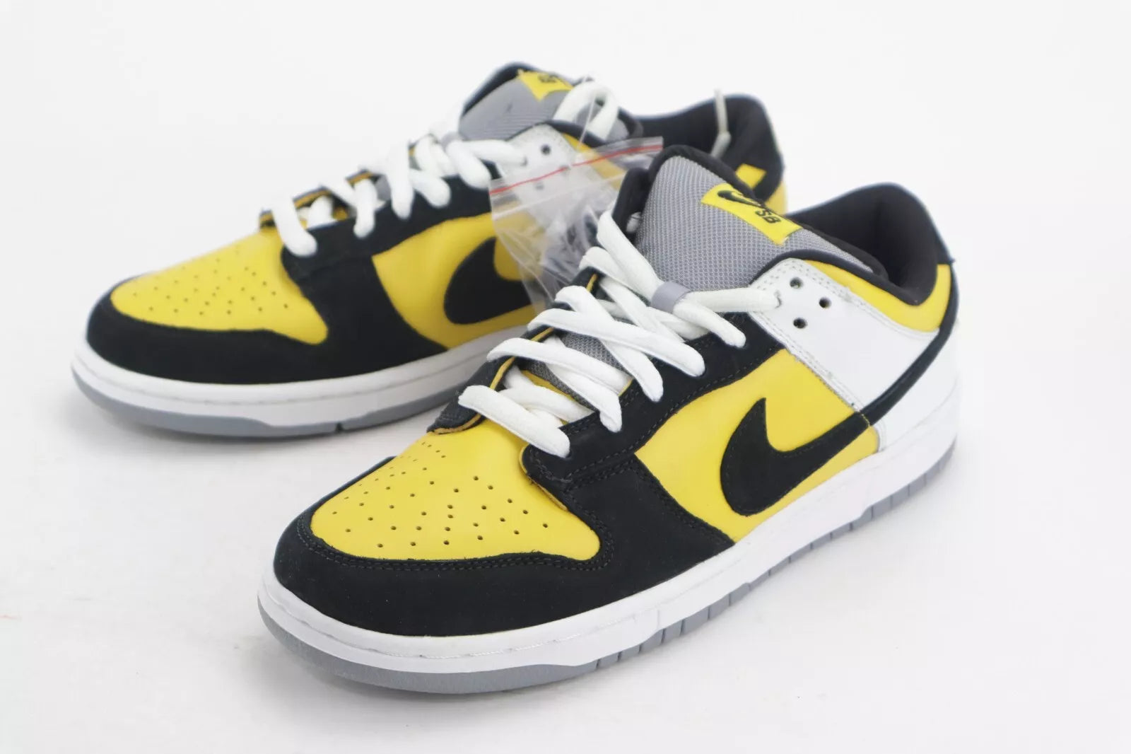 DUNK LOW SB "BIC"