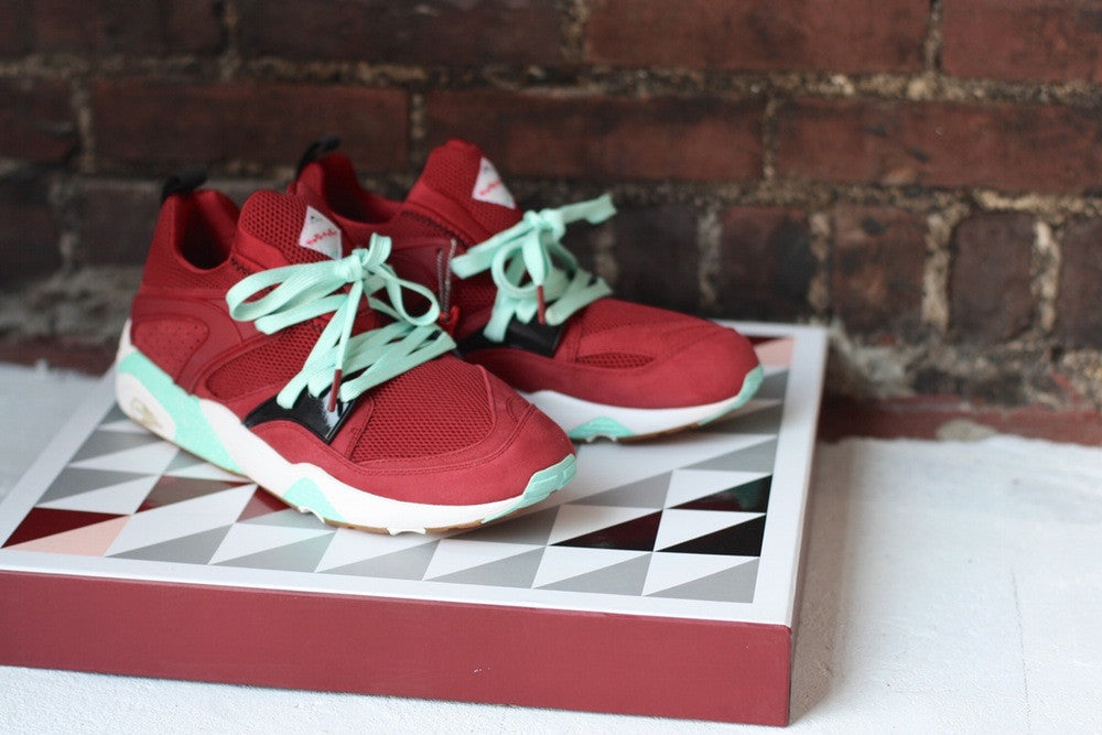 PUMA BLAZE OF GLORY X SNEAKER FREAKER X PACKERS "BLOODBATH" 361044 01 - thesneakerspy