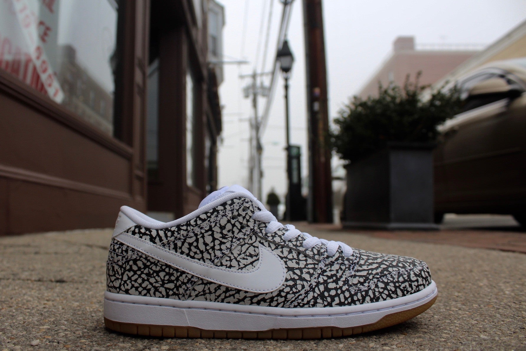 NIKE DUNK LOW PRO SB "WHITE CEMENT" 313170-110